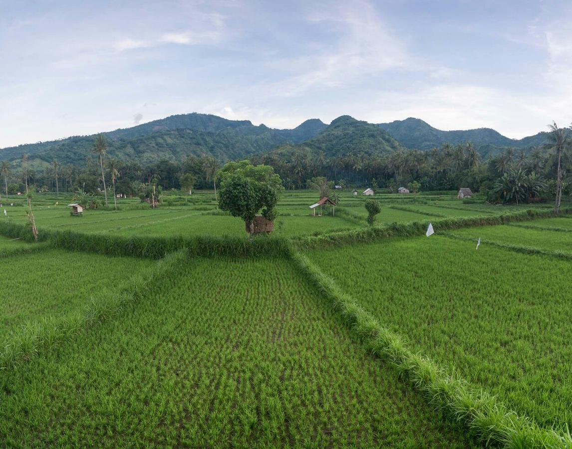 Tanaya Homestay Amed  Luaran gambar
